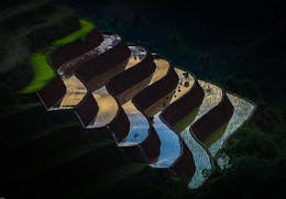 Article Thumbnail
