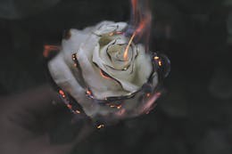 Article Thumbnail