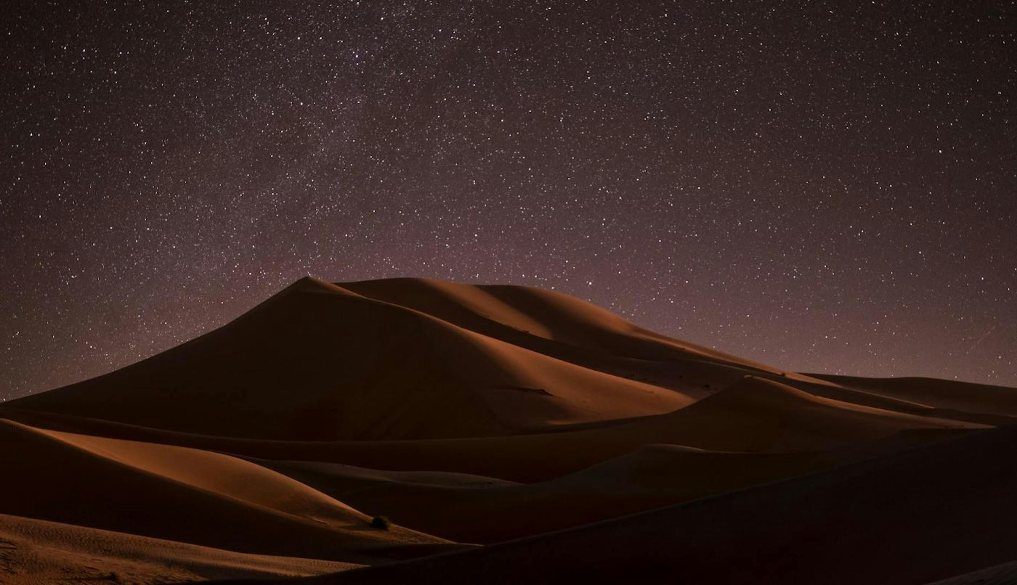 Feyd-Rautha: The Best Thing About Dune Part Two