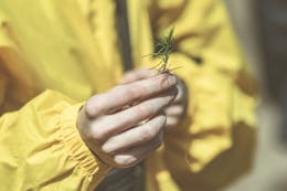 Article Thumbnail
