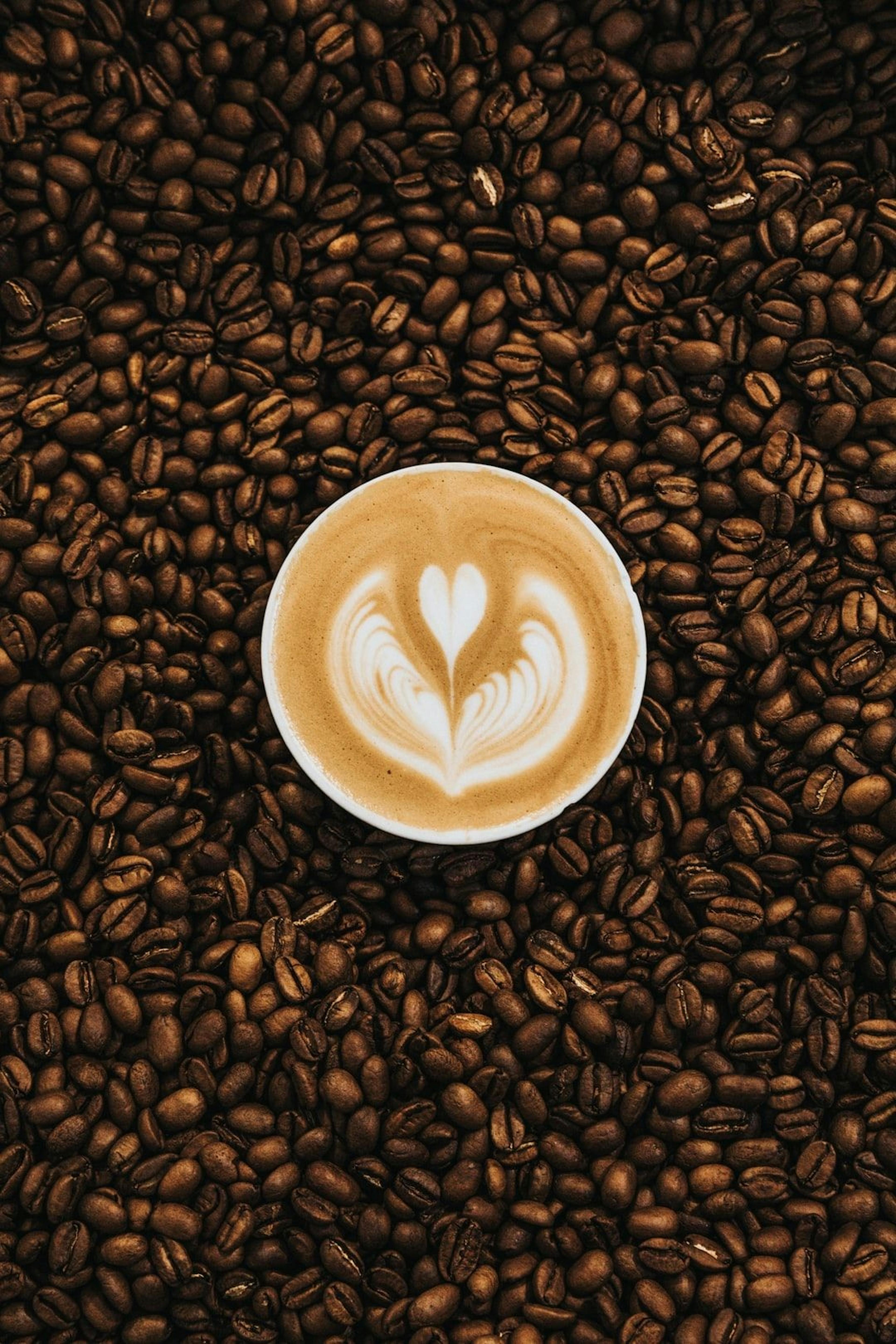 featured image - How to Make a WebSocket Server With JavaScript: I Like My Servers Like I Like My Coffee, My Own 