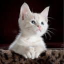 profileremoved HackerNoon profile picture
